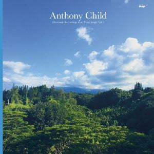 Anthony Child - Electronic Recordings From Maui Jungle, Vol. 2