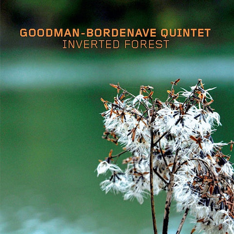 Goodman-Bordenave Quintet - Inverted Forest
