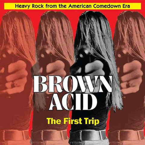 Various - Brown Acid: The First Trip (Heavy Rock From The American Comedown Era)