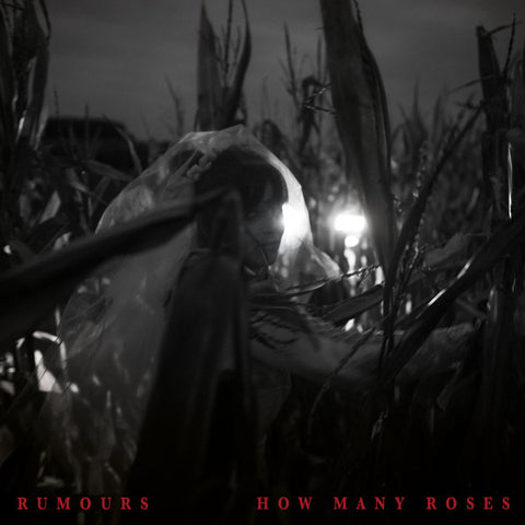 Rumours - How Many Roses