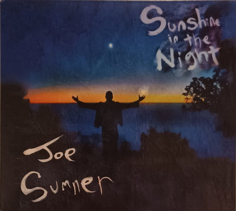 Joe Sumner - Sunshine in the Night