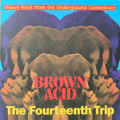 Various - Brown Acid: The Fourteenth Trip (Heavy Rock From The Underground Comedown)