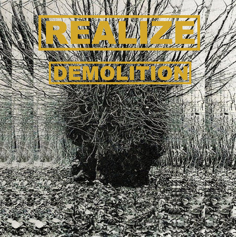 Realize - Demolition