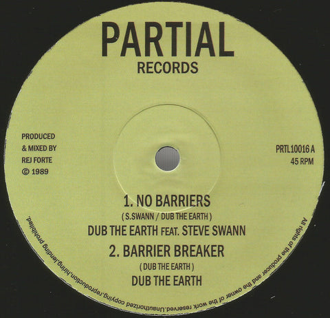 Dub The Earth Feat. Steve Swann - No Barriers