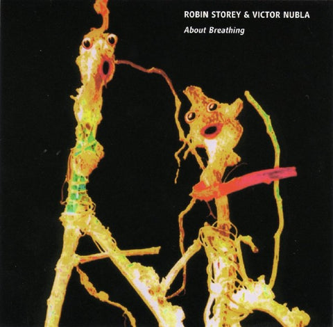 Robin Storey & Victor Nubla - About Breathing