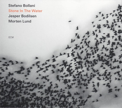 Stefano Bollani Trio - Stone In The Water