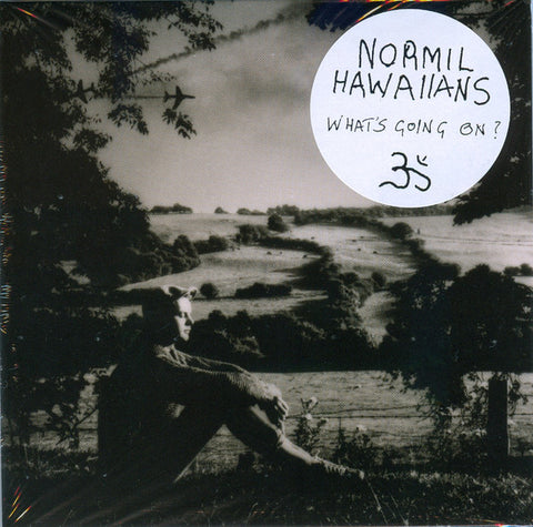 Normil Hawaiians - What's Going On?