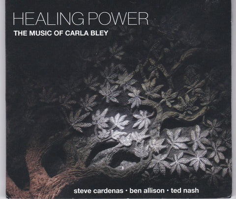 Steve Cardenas • Ben Allison • Ted Nash - Healing Power (The Music Of Carla Bley)