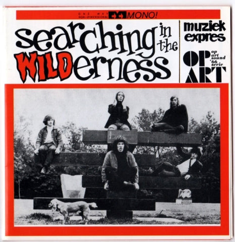 Various - Searching In The Wilderness