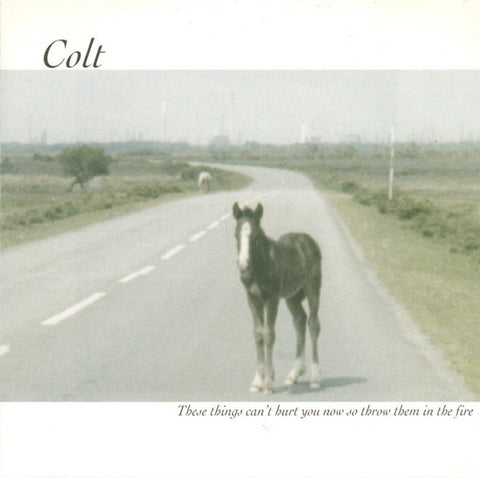 Colt - These Things Can't Hurt You Now So Throw Them In The Fire