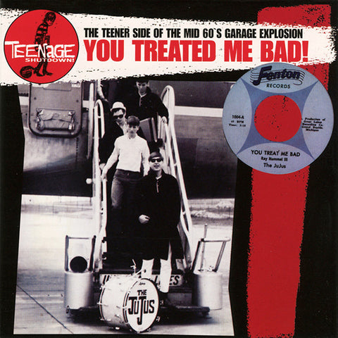 Various - You Treated Me Bad! (The Teener Side Of The Mid 60's Garage Explosion)
