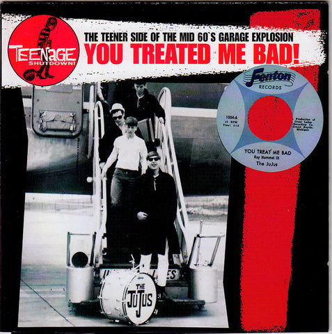 Various - You Treated Me Bad! (The Teener Side Of The Mid 60's Garage Explosion)