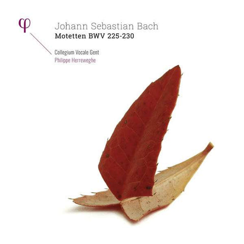 Johann Sebastian Bach, Collegium Vocale, Philippe Herreweghe - Motetten BWV 225 - 230