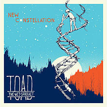 Toad The Wet Sprocket - New Constellation