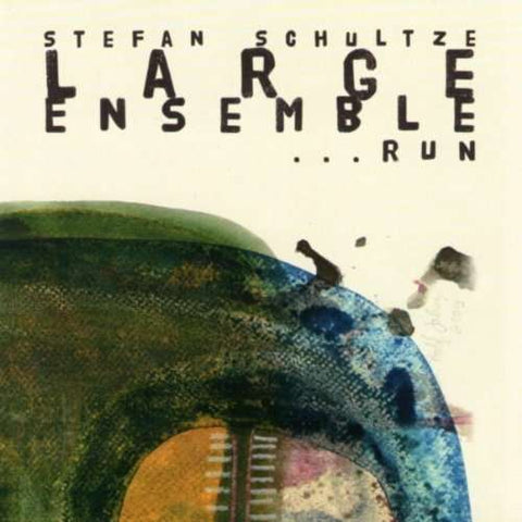 Stefan Schultze Large Ensemble - ...Run