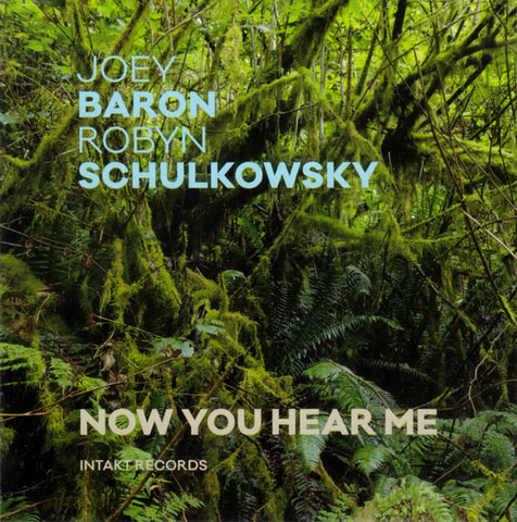 Joey Baron - Robyn Schulkowsky - Now You Hear Me