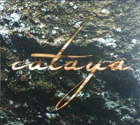Cataya - Sukzession