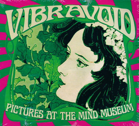 Vibravoid - Pictures At The Mind Museum