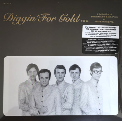Various - Diggin' For Gold Vol 11