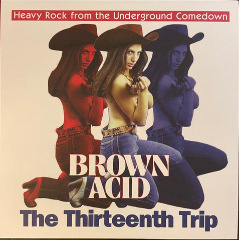 Various - Brown Acid: The Thirteenth Trip