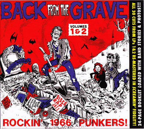 Various - Back From The Grave Volumes 1 & 2