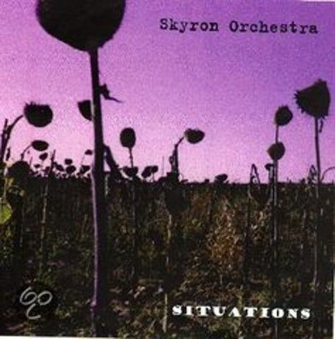 Skyron Orchestra - Situations
