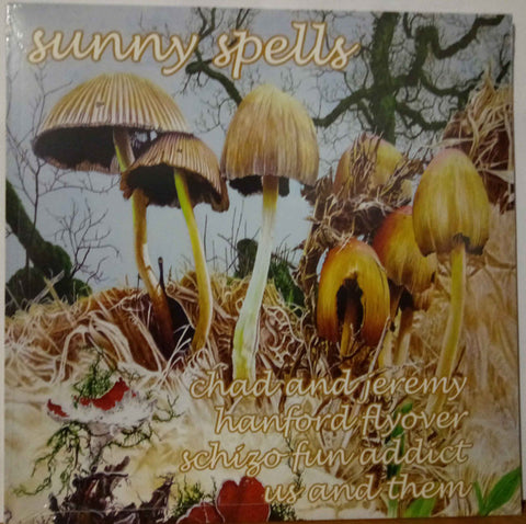 Various - Sunny Spells