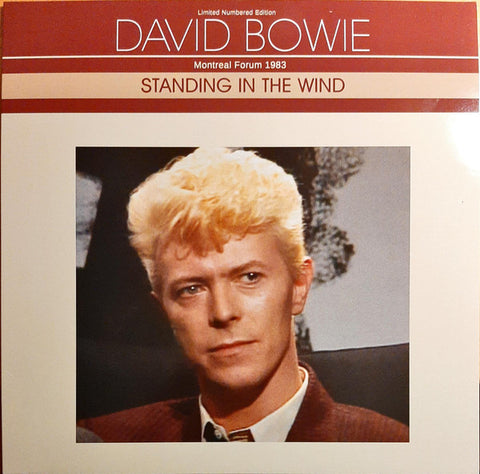 David Bowie - Standing In The Wind (Montreal Forum 1983)