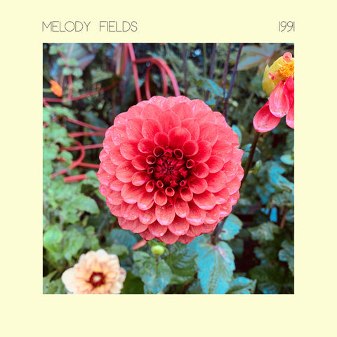 Melody Fields - 1991