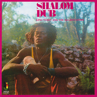 King Tubby And The Aggrovators - Shalom Dub