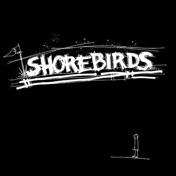 Shorebirds - Shorebirds