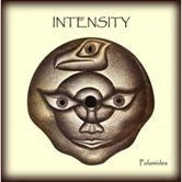 Intensity - Polamides