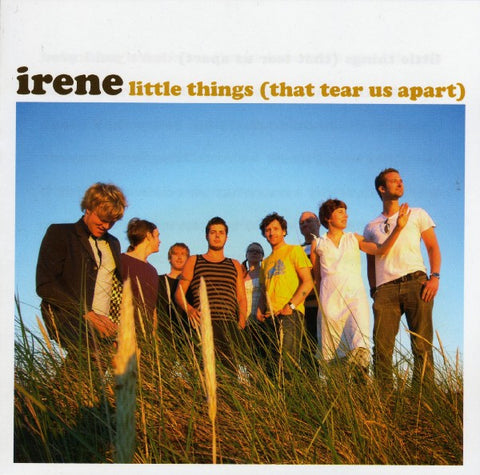 Irene - Little Things (That Tear Us Apart)