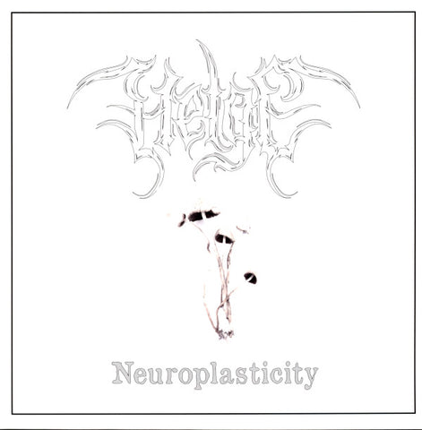 Helge - Neuroplasticity