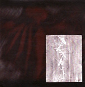 Wyrm - Divination Bones b/w Adam Coils