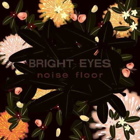 Bright Eyes, - Noise Floor (Rarities 1998-2005)