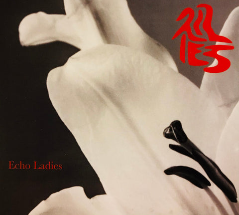 Echo Ladies - Lilies
