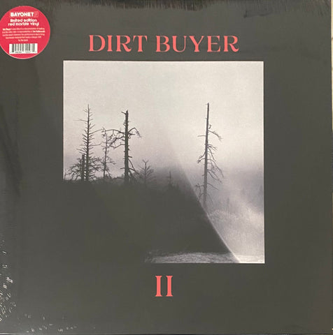 Dirt Buyer - II