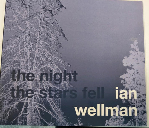 Ian Wellman - The Night The Stars Fell