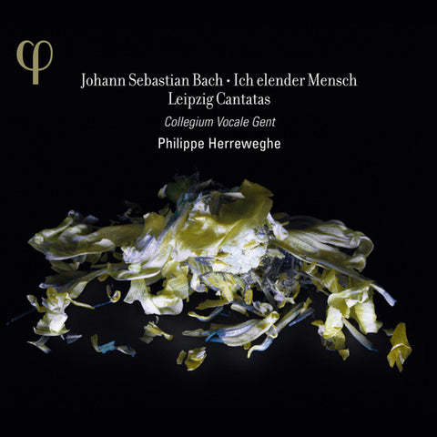Johann Sebastian Bach, Collegium Vocale Gent, Philippe Herreweghe - Ich Elender Mensch - Leipzig Cantatas