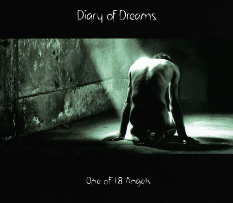 Diary Of Dreams - One Of 18 Angels