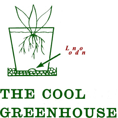 The Cool Greenhouse - London
