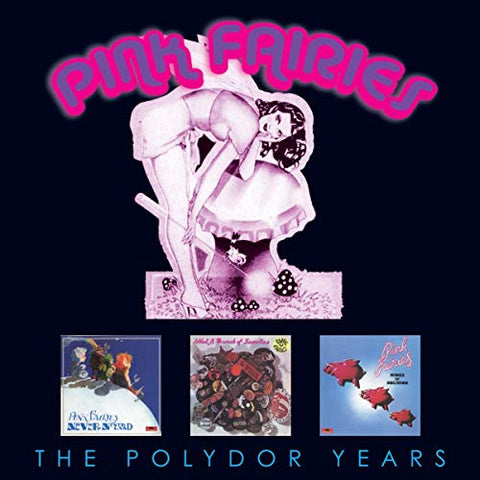 Pink Fairies - The Polydor Years