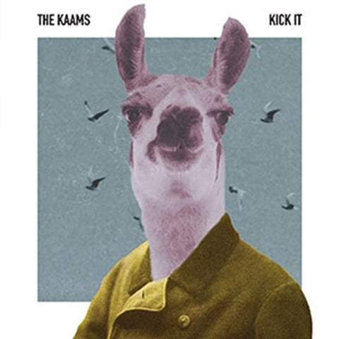 The Kaams - Kick It