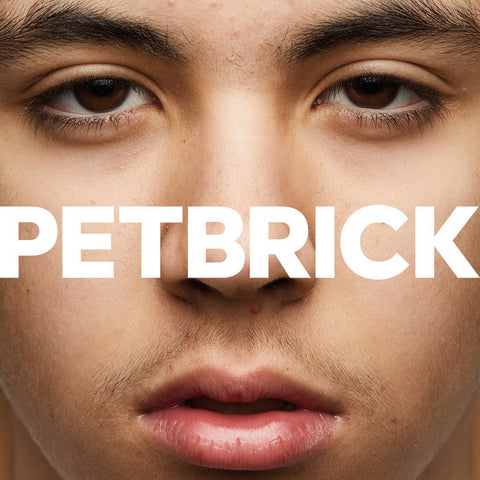 Pet Brick - I