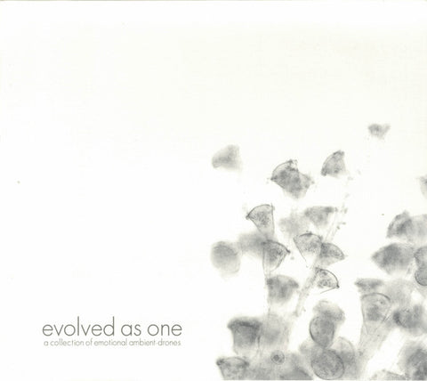 Various - Evolved As One (A Collection Of Emotional Ambient-Drones)