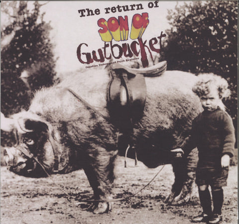 Various - The Return Of Son Of Gutbucket