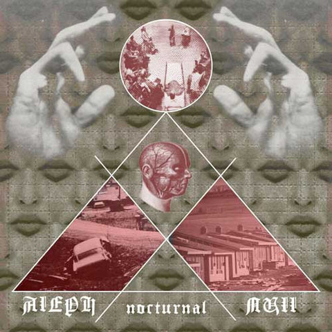 Aleph Null, - Nocturnal