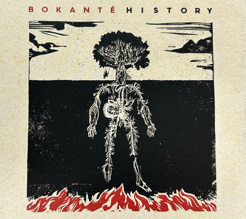 Bokanté - History