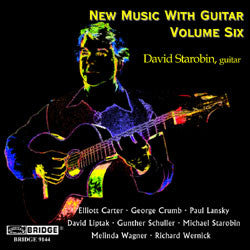 David Starobin - New Music With Guitar, Vol.6